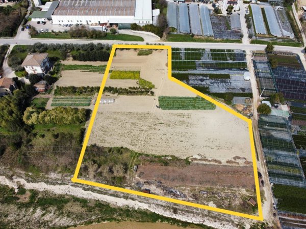 terreno agricolo in vendita a Ripatransone