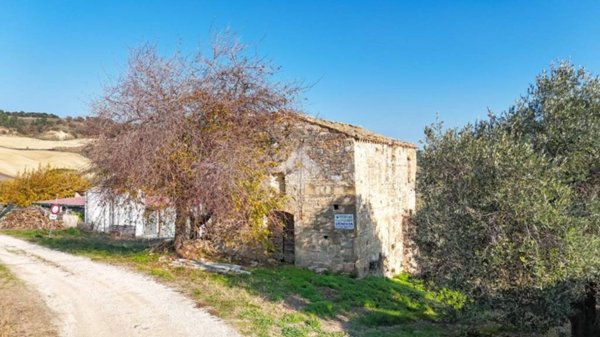 appartamento in vendita a Ripatransone