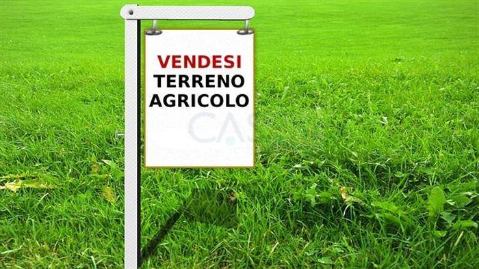 terreno agricolo in vendita a Ripatransone in zona San Savino