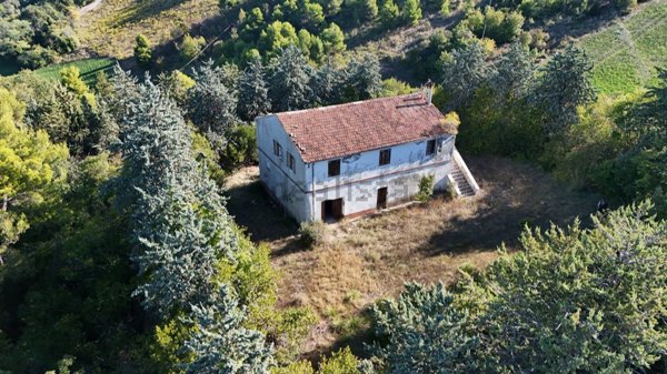 casale in vendita a Ripatransone
