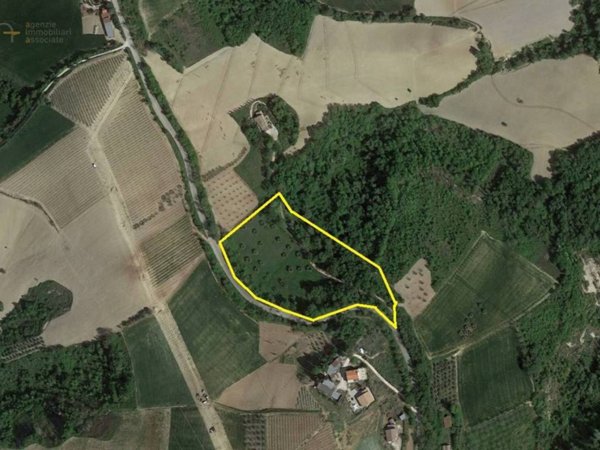 terreno agricolo in vendita a Ripatransone