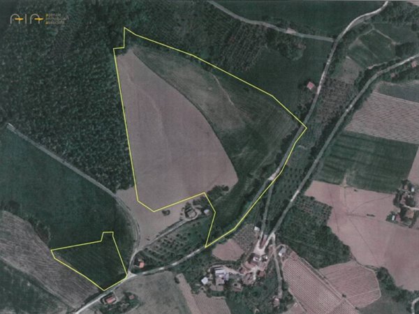 terreno agricolo in vendita a Ripatransone