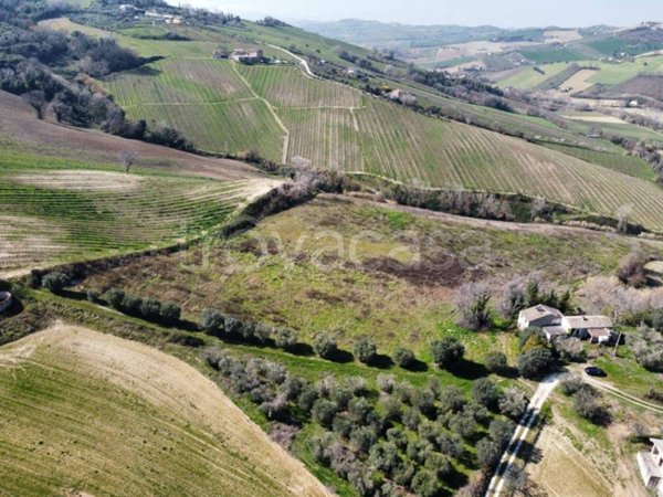 terreno agricolo in vendita a Ripatransone