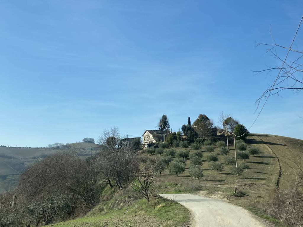 casa indipendente in vendita a Ripatransone