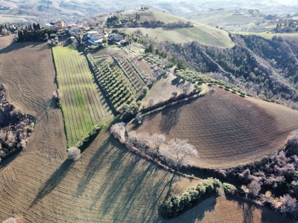 casale in vendita a Ripatransone in zona San Savino