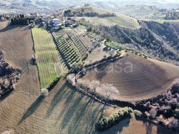 terreno agricolo in vendita a Ripatransone in zona San Savino