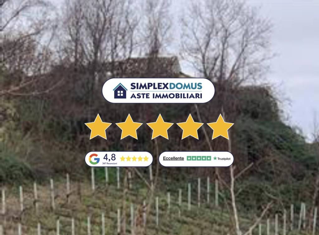 immagine annuncio 0 di 1