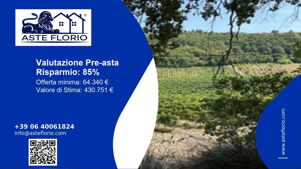 terreno agricolo in vendita a Ripatransone