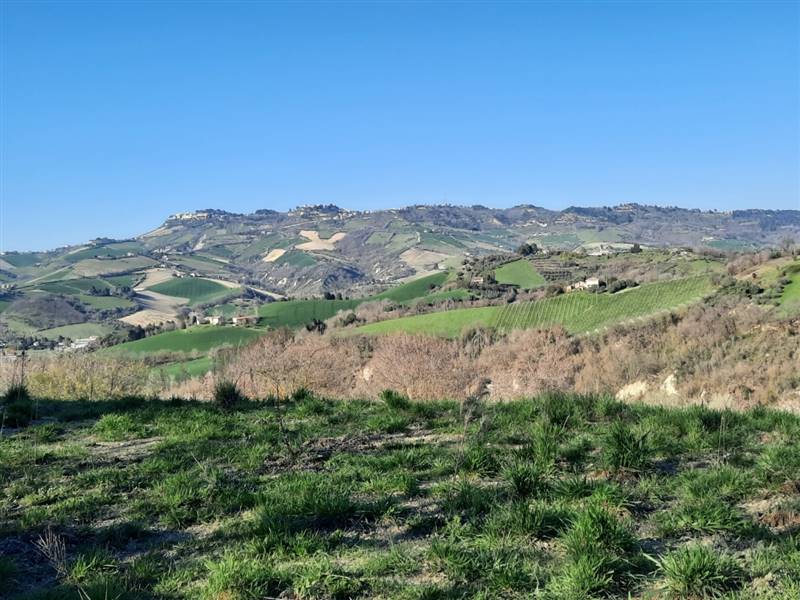 casa indipendente in vendita a Ripatransone