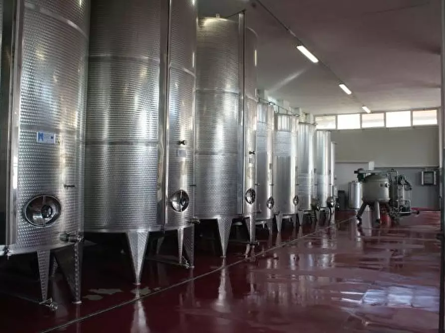 azienda agricola in vendita a Ripatransone