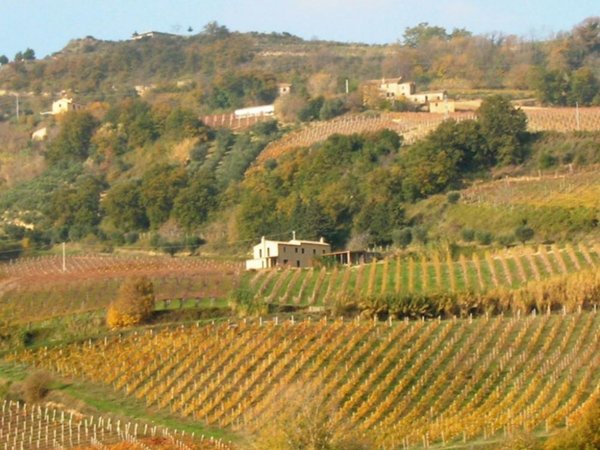 casa indipendente in vendita a Ripatransone