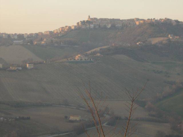 terreno agricolo in vendita a Ripatransone