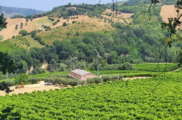 casale in vendita a Ripatransone