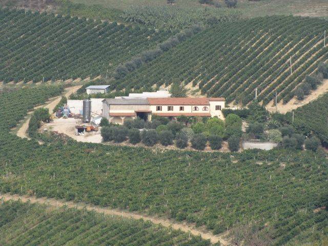 azienda agricola in vendita a Ripatransone