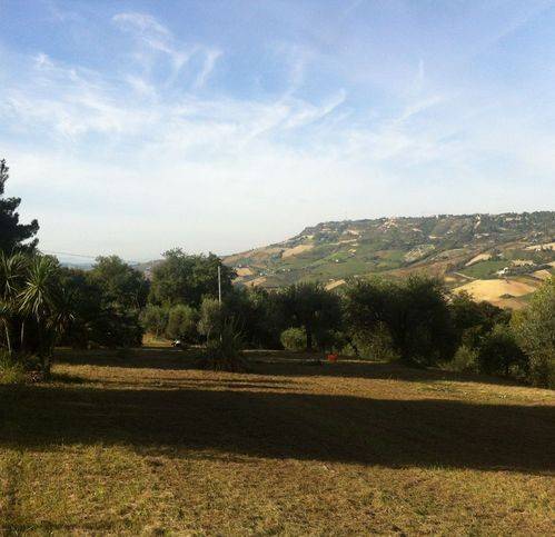 terreno agricolo in vendita a Ripatransone