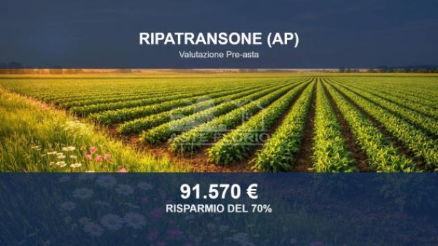 terreno agricolo in vendita a Ripatransone