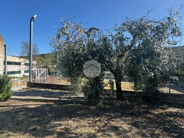 terreno edificabile in vendita a Ripatransone