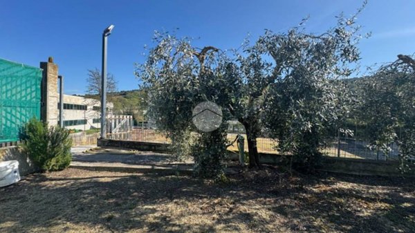 terreno edificabile in vendita a Ripatransone
