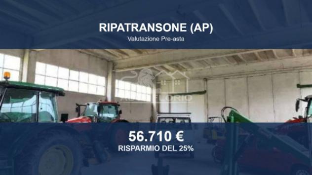 terreno agricolo in vendita a Ripatransone