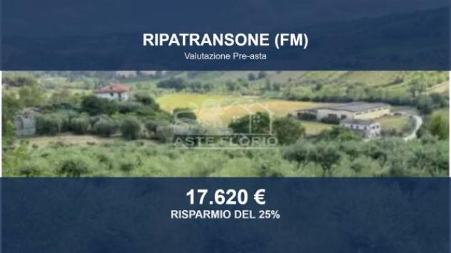 terreno agricolo in vendita a Ripatransone