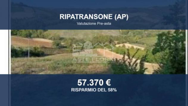 terreno agricolo in vendita a Ripatransone
