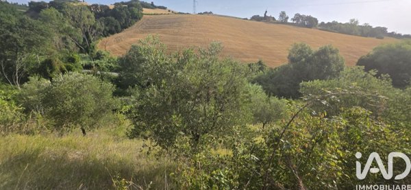 casa indipendente in vendita a Ripatransone