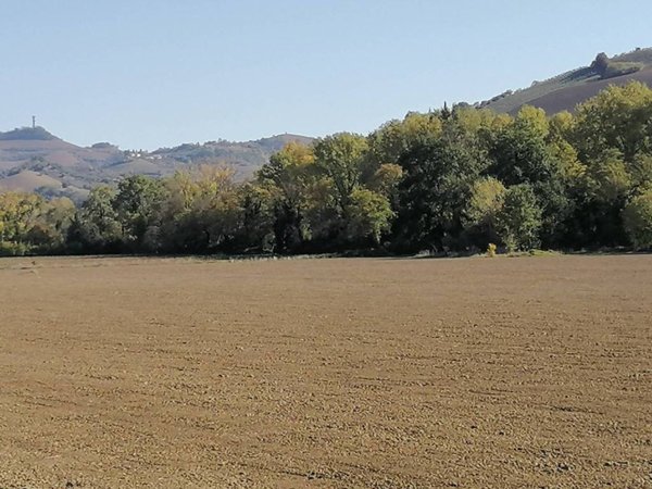 terreno agricolo in vendita a Ripatransone in zona San Savino