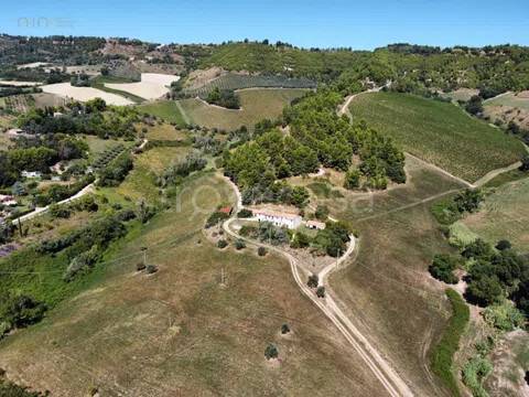 terreno agricolo in vendita a Ripatransone in zona San Savino