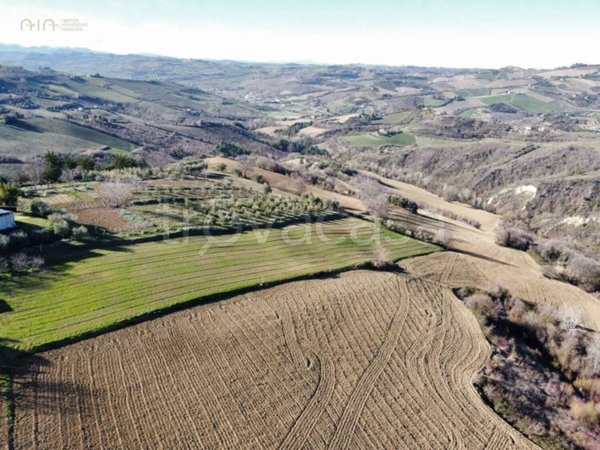 appartamento in vendita a Ripatransone