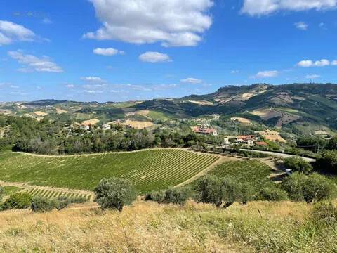 terreno agricolo in vendita a Ripatransone in zona Petrella