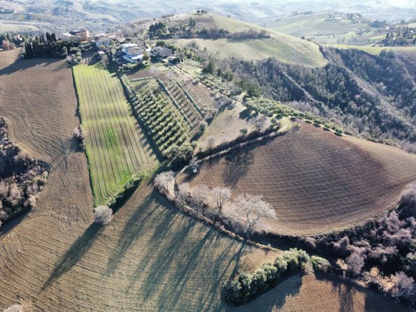 terreno in vendita a Ripatransone in zona San Savino