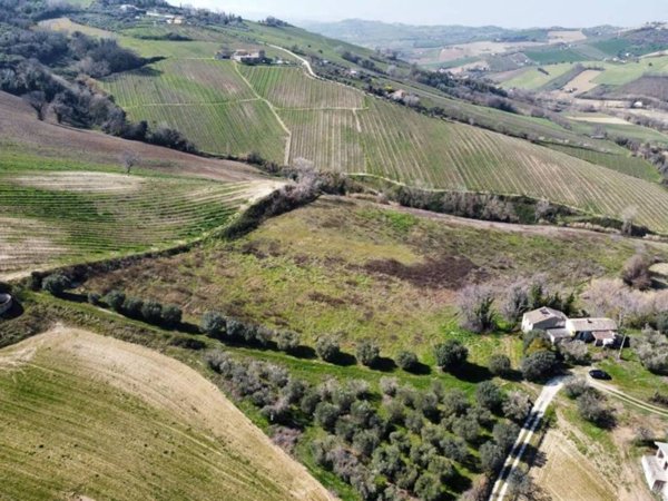 terreno agricolo in vendita a Ripatransone in zona San Savino