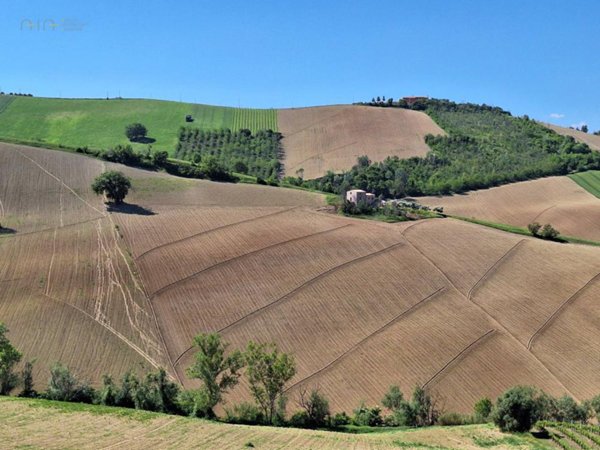 terreno agricolo in vendita a Ripatransone in zona San Savino