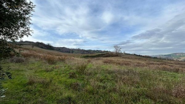 terreno agricolo in vendita a Ripatransone in zona San Savino