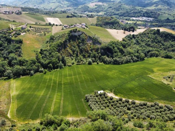 terreno agricolo in vendita a Ripatransone in zona San Savino