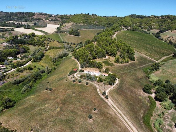 terreno agricolo in vendita a Ripatransone in zona San Salvatore