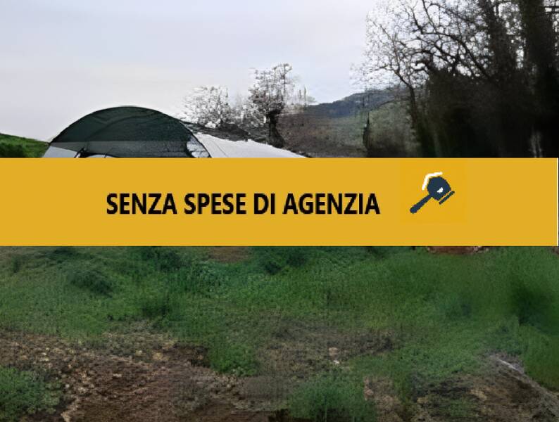 casa indipendente in vendita a Ripatransone in zona Petrella
