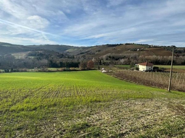 terreno agricolo in vendita a Ripatransone in zona San Savino