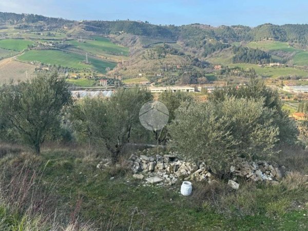 terreno in vendita a Ripatransone in zona San Savino