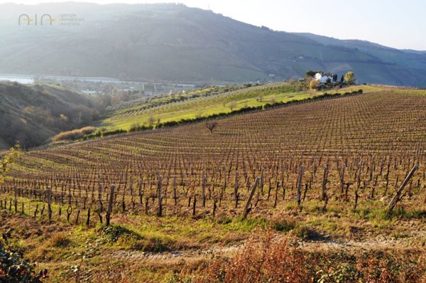 terreno in vendita a Ripatransone in zona San Savino