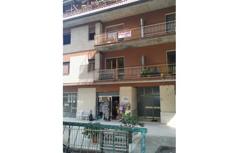 appartamento in vendita a Roccafluvione