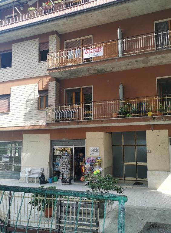 appartamento in vendita a Roccafluvione