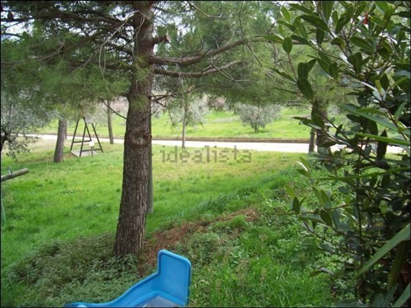 casa indipendente in vendita a Rotella