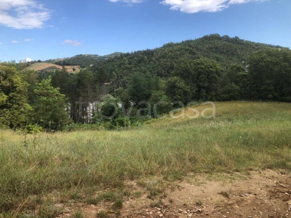 terreno agricolo in vendita a Rotella