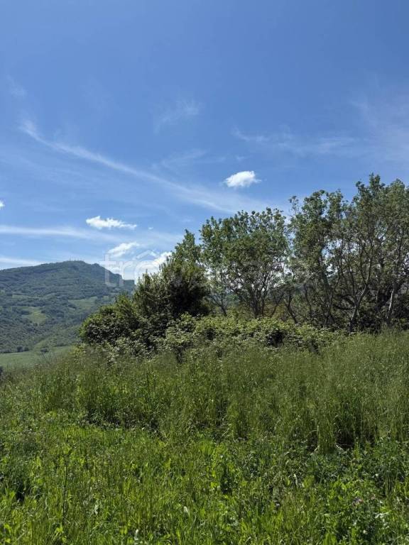 casale in vendita a Rotella in zona Poggio Canoso