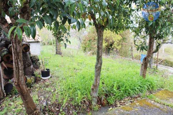 appartamento in vendita a Rotella in zona Castel di Croce