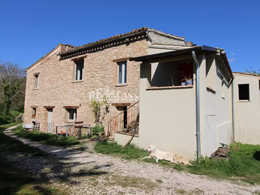 casa indipendente in vendita a Rotella