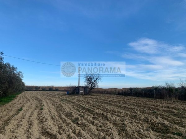 terreno agricolo in vendita a San Benedetto del Tronto in zona Sentina