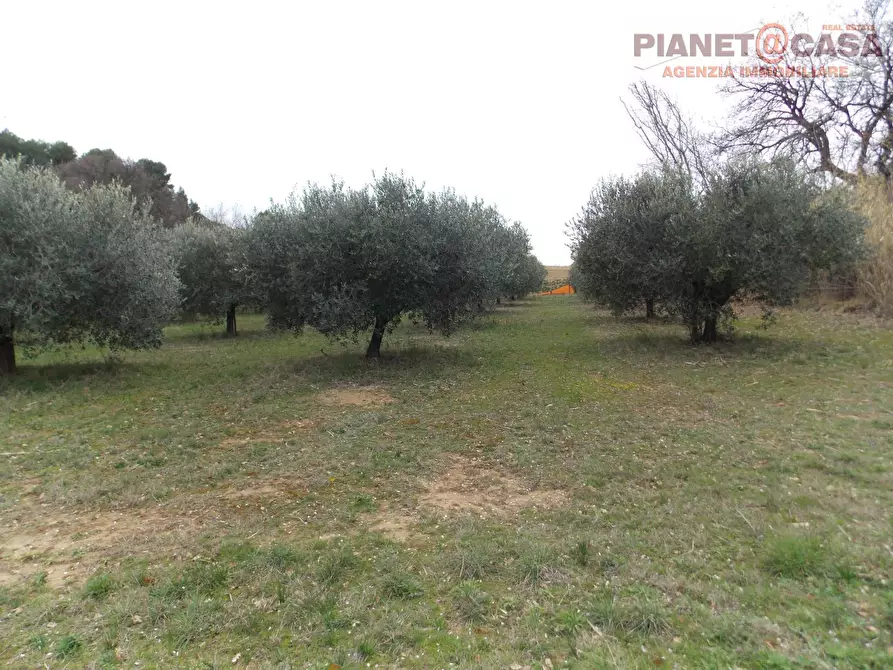 casa indipendente in vendita a San Benedetto del Tronto