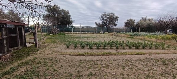 terreno agricolo in vendita a San Benedetto del Tronto in zona Sentina